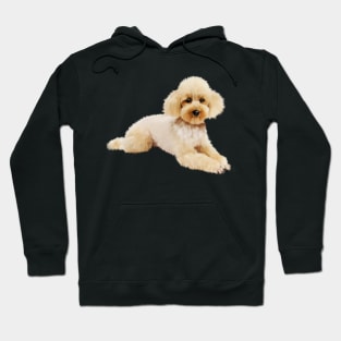 Cute Poodle dog, Love Poodles, Dog Lover Hoodie